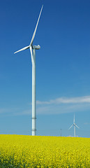 Image showing farm of windturbines close to rape field 