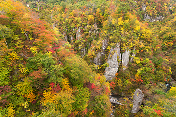 Image showing  Naruko Gorge Valley with colorful foliage