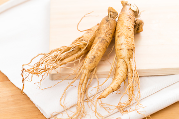 Image showing Fresh ginseng root