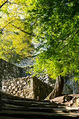 Image showing Bitchu Matsuyama Castle Walls in Okayama