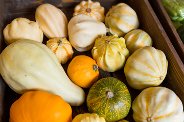 Image showing Variety pumpkin