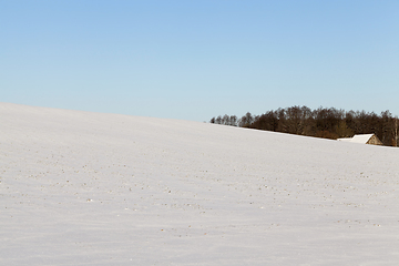 Image showing winter landscape