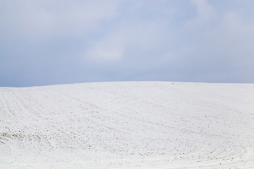 Image showing Snow drifts