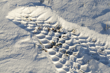 Image showing Road in winter