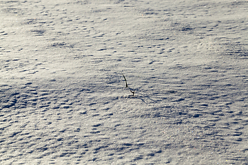 Image showing Snow drifts