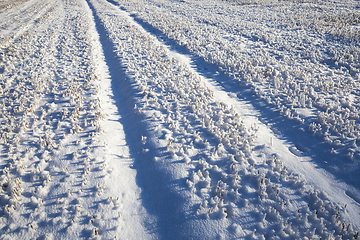 Image showing Snow drifts in winter