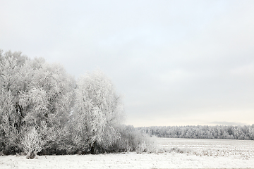 Image showing Snow drifts