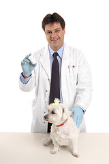 Image showing Vet with bottle of pills tablets