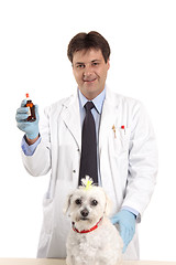 Image showing Veterinarian with medicine