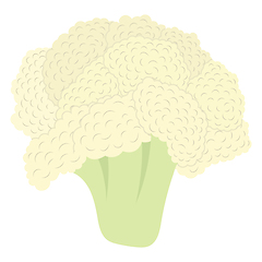 Image showing Cauliflower icon