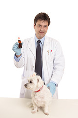 Image showing Vet with pet and ointment