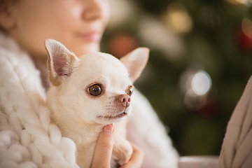 Image showing Young woman enjoying her domestic life. Home comfort, winter and holidays time