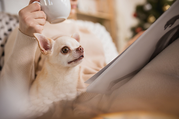 Image showing Young woman enjoying her domestic life. Home comfort, winter and holidays time