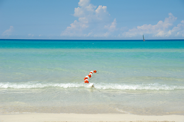 Image showing Waterline at exotic beach