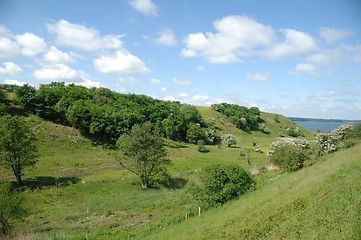 Image showing Green Landscape