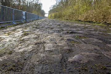 Image showing Pave d'Arenberg