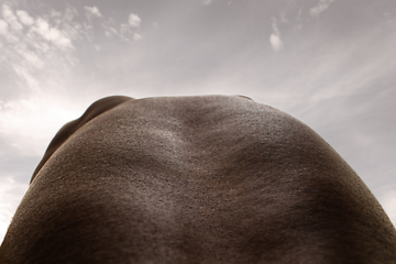 Image showing Detailed texture of human skin. Close up shot of young african-american male body like landscape with the sky background