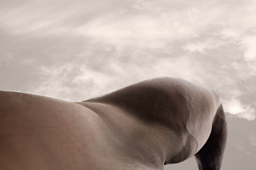 Image showing Detailed texture of human skin. Close up shot of young african-american male body like landscape with the sky background