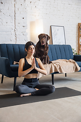 Image showing Young woman working out at home during lockdown, yoga exercises with the dog