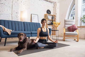 Image showing Young woman working out at home during lockdown, yoga exercises with the dog