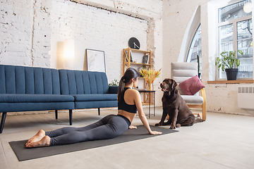 Image showing Young woman working out at home during lockdown, yoga exercises with the dog