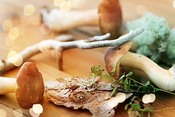 Image showing boletus mushrooms, moss, branch and bark on wood