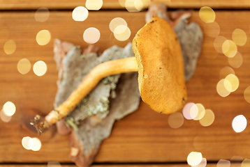 Image showing suillus bovinus mushroom on wooden background