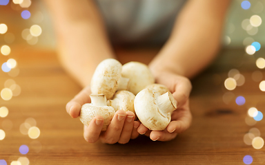 Image showing close up of female hands holding champignons