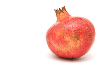 Image showing one pomegranate