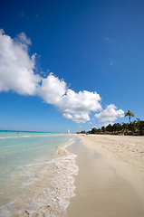 Image showing Exotic beach