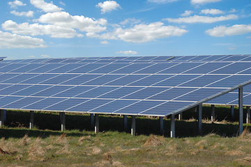 Image showing Rows of solar panels and green nature