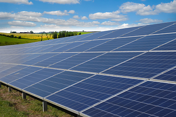 Image showing Rows of solar panels and green nature