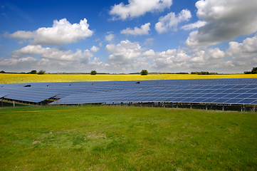 Image showing Rows of solar panels and green nature