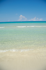 Image showing Exotic beach