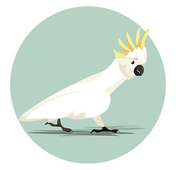 Image showing Image of cockatoo, vector or color illustration.