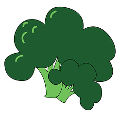 Image showing Image of broccoli , vector or color illustration.