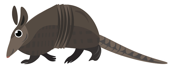 Image showing Image of armadillo, vector or color illustration.