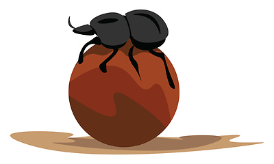 Image showing Image of dung beetle, vector or color illustration.