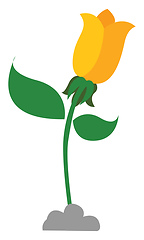 Image showing A beautiful yellow flower grown above the soil, vector or color 