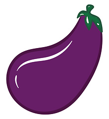 Image showing Image of eggplant, vector or color illustration.