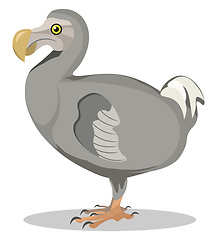 Image showing Image of dodo, vector or color illustration.