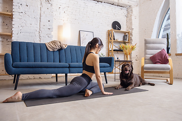 Image showing Young woman working out at home during lockdown, yoga exercises with the dog