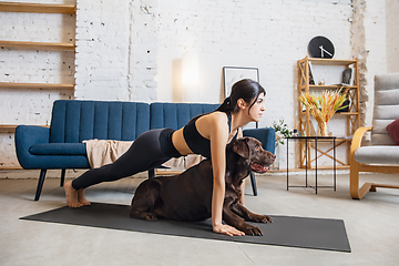 Image showing Young woman working out at home during lockdown, yoga exercises with the dog