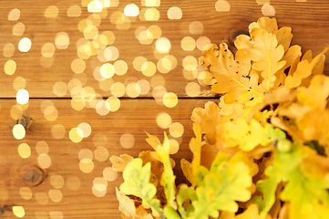 Image showing oak leaves in autumn colors on wooden table