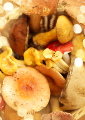 Image showing brown cap boletus mushrooms on wooden background