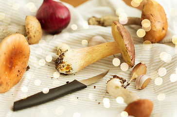 Image showing edible mushrooms, kitchen knife and towel