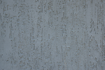 Image showing Decorative plaster of type bark beetle