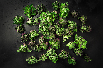 Image showing Kalette, kale sprouts or flower sprouts on black background