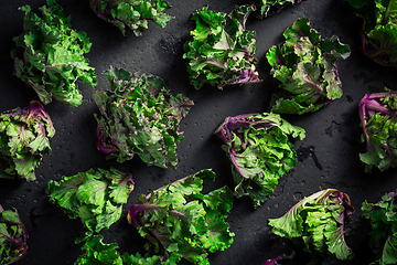 Image showing Kalette, kale sprouts or flower sprouts on black background