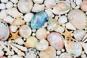 Image showing Large Sea Shell Collection with Natural Oyster Pearls Compositio